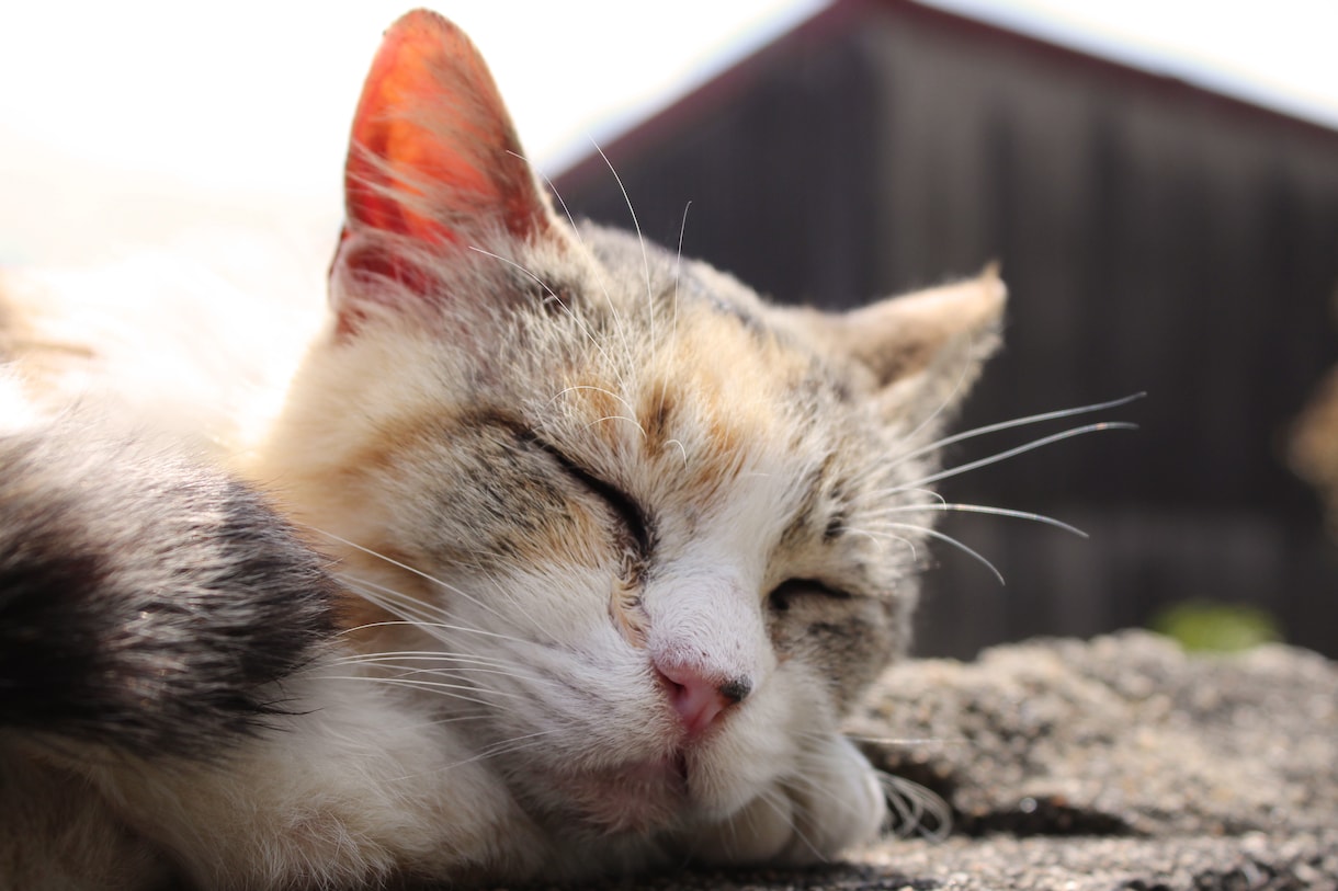 なんでも話してください！悩みや愚痴を伺います 家族や友人に話しづらいことはないですか？ イメージ1