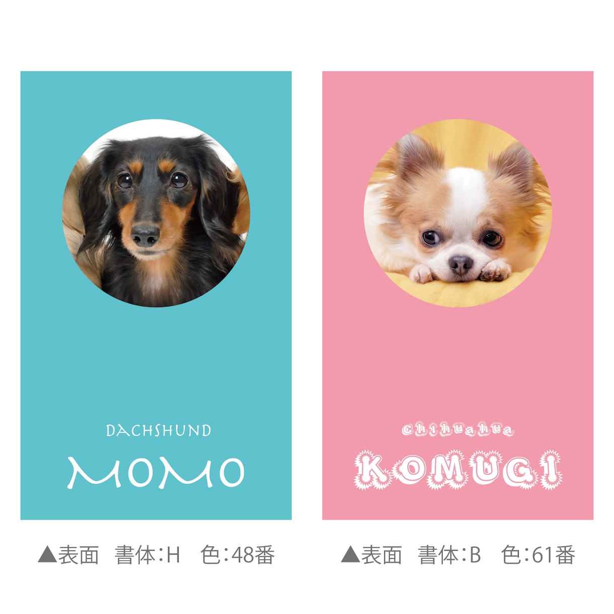 シンプルでかわいいデザインのうちの子名刺を作ります 【両面印刷100枚】送料無料　セミオーダー　QRコード入り。 イメージ9