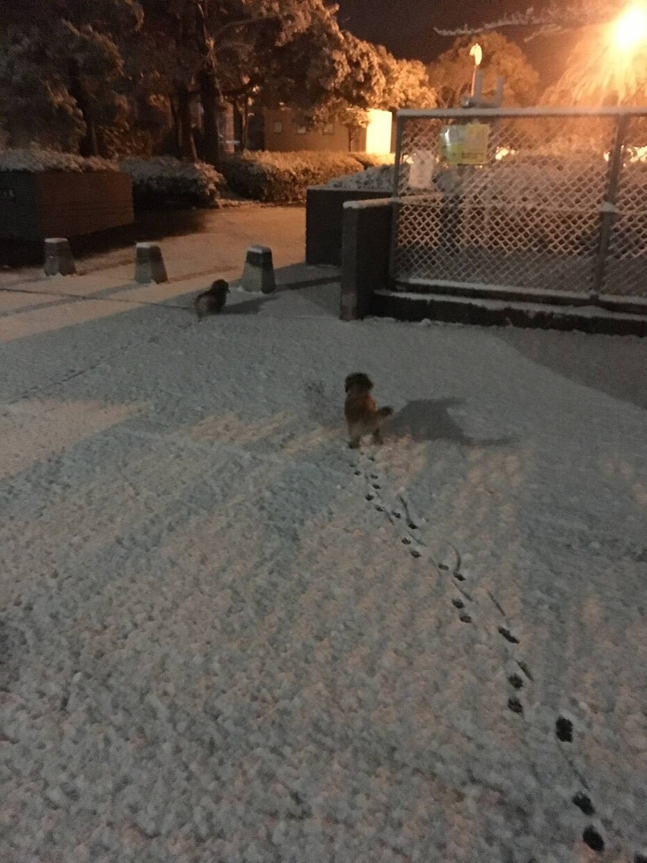 気に入れば良いなと思っています 気に入った写真がありますように イメージ3