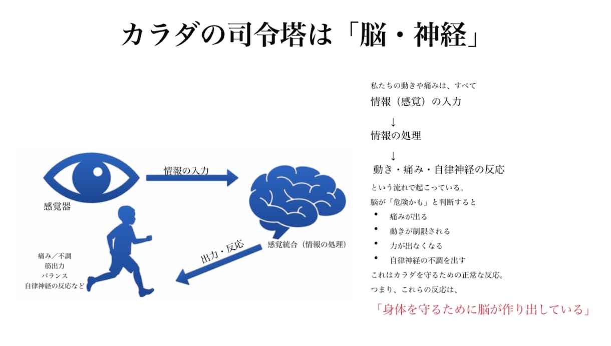 お試し⭐︎肩こり・腰痛は脳が9割｜根本ケアします 整体に通っても戻る肩こり・腰痛に。自宅でできる脳からのケア イメージ7