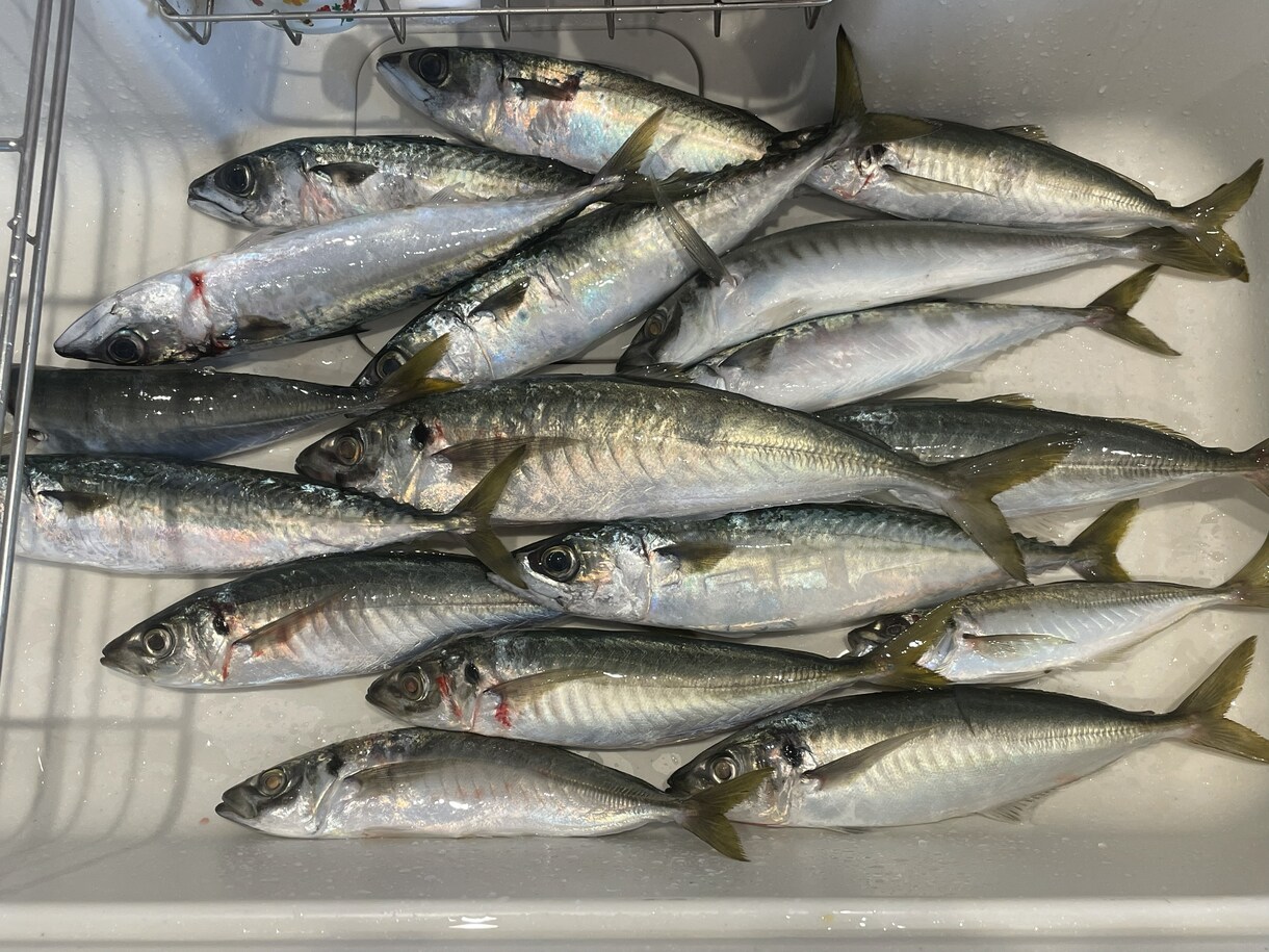 子供の『釣れた！』を引き出す！思い出作り教えます 釣りをやってみたい親御さんに子供と楽しむためのポイント解説！ イメージ1