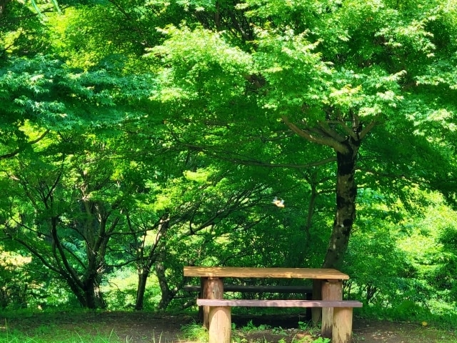 話して気づく"自分の本音"✨心の棚卸し、手伝います 本音を言葉にする練習♫ゆるく整える"わたし再発見" イメージ8