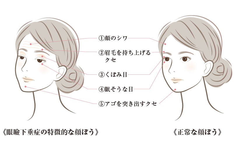 医療&美容・一般・キャクターイラストを制作します 大学病院内でイラストを制作していた経験を活かして制作します イメージ4