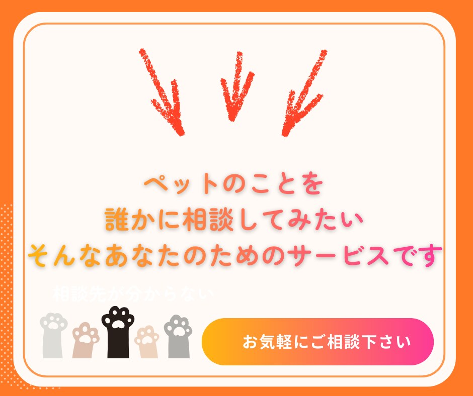 行動専門獣医師が猫の"困った行動"を解決します ★出品記念の為、初回3名まで最低価格でお受けします★ イメージ9