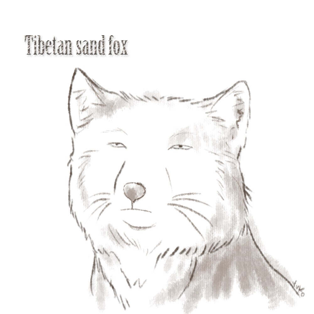 ほんわかテイストの動物・人物その他イラスト描きます パッと見で伝わるシンプルさと可愛さはいかがですか？ イメージ9