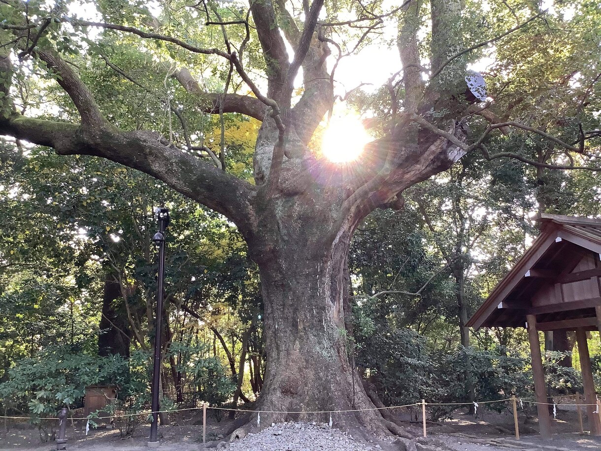 あなたの中に眠っている自然が目を覚まします 何もしなくても流れに任せていれば良いのですよ。 イメージ5