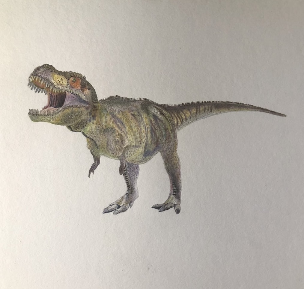 動物・虫のイラスト描きます 動物・虫の絵を色鉛筆を使って描きます。 イメージ2