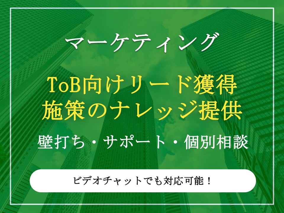BtoBマーケのリード獲得施策の戦略を提供します 費用対効果の高い優先的に取り組むべきメディア一覧を提供します イメージ1