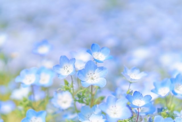 夫婦の問題・夫との関係どうすればいい?を鑑定します 仮面夫婦・不機嫌・無視・ため息・後悔しない選択をするお手伝い イメージ1