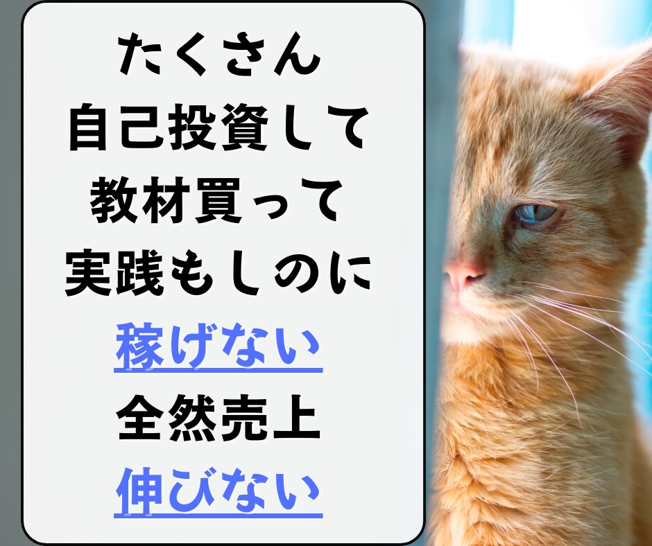 ネット副業を成功に導くオーダーメイドコンサルします 初心者でも稼ぐための力と戦略が手に入る！販売自動化も可能！ イメージ3