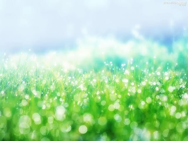 わたしがあなたを肯定します いつもがんばってるあなたへ ＊ 大丈夫､あなたは間違ってない イメージ1