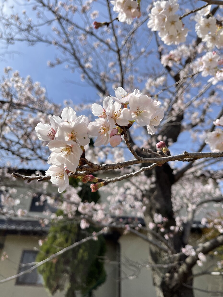 愚痴、子育ての悩み、恋愛話など、なんでも聞きます いろいろある世の中だけど、私にも出来ることがある イメージ1