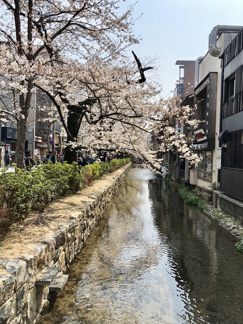 どんなことでも相談に乗ります 誰に相談したらいいかわからない、とにかく話を聞いてほしい方 イメージ1