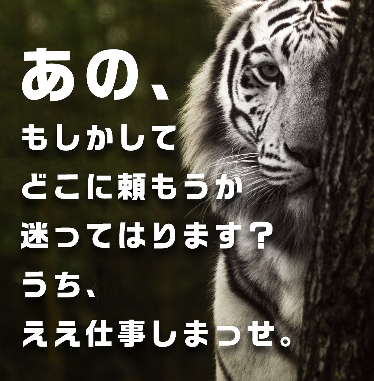 論理性に基づいたWEBサイトを作成します オリジナル＋レスポンシブ対応のWEBサイトデザイン イメージ1