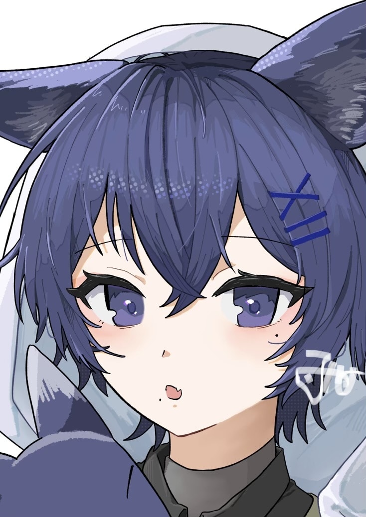 パキッとした線と色使いで描きます 最短一週間以内納品可能！商用利用可！ イメージ1