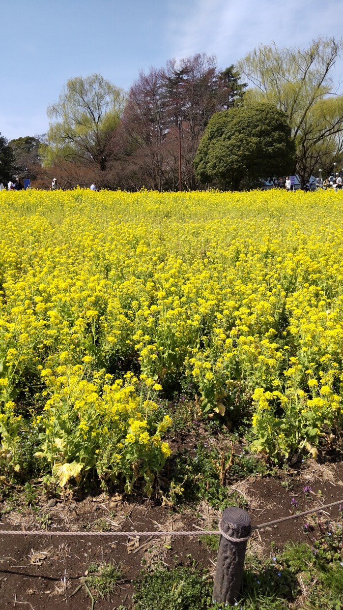 希望があれば占いのオマケ付き！今すぐ、お話聞きます 相談員20年！辛いことも楽しいこともお話、お聞きします。 イメージ3
