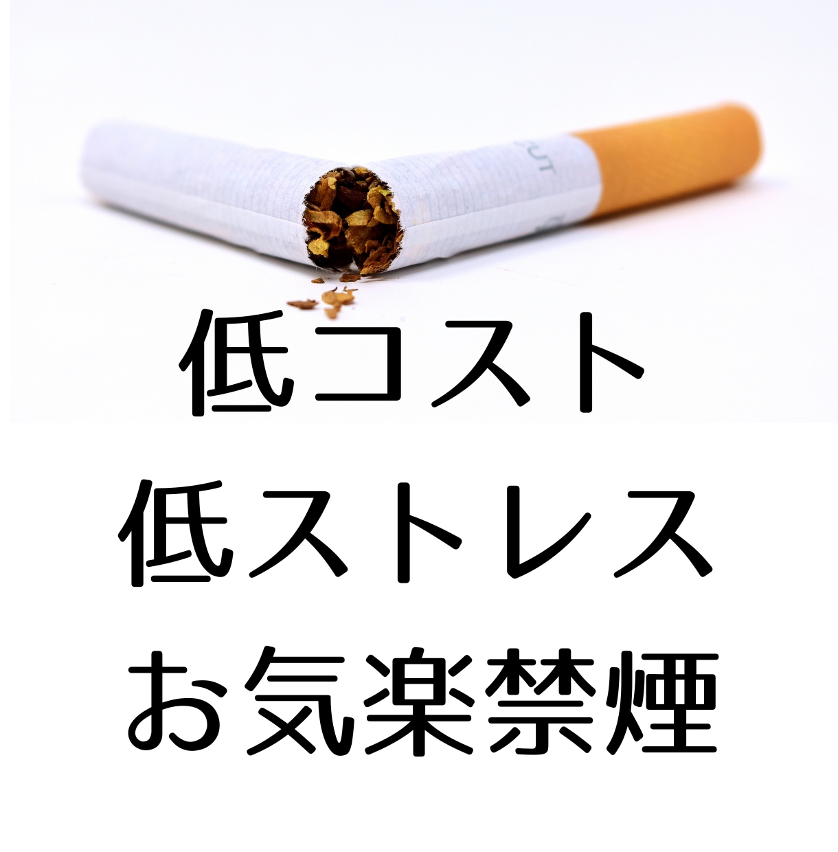 私が禁煙に成功した体験談とそのやり方教えます タバコがやめられないあなたへ！低コスト低ストレスでお気楽禁煙 イメージ1