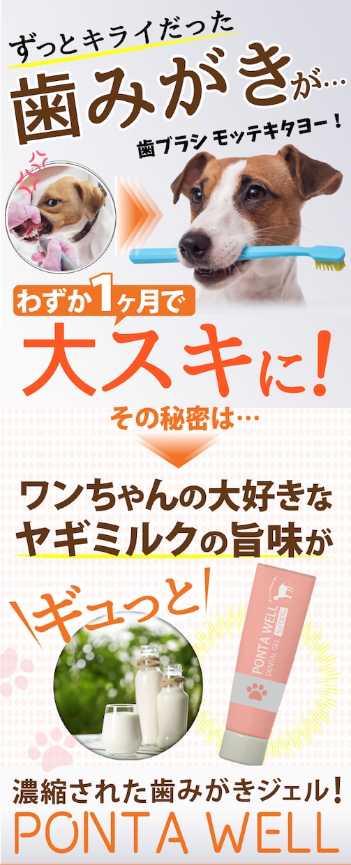 商品の魅力が伝わるLPヘッダー作成します 現役ライターがお客様目線で作成いたします イメージ1