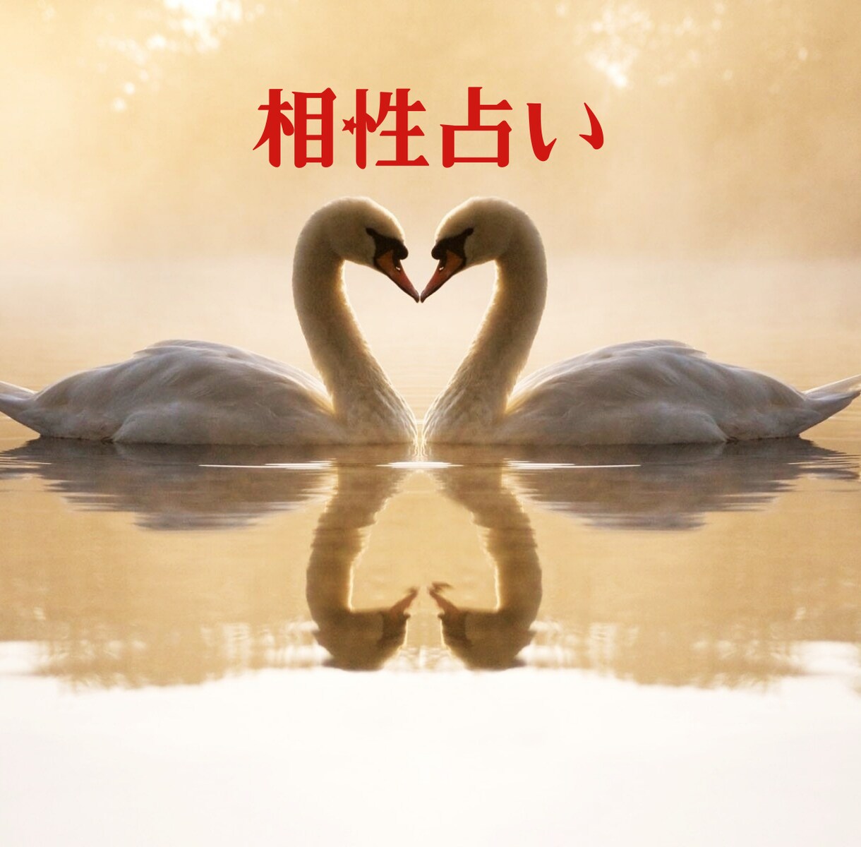 2人の相性は？上手くやっていけそう？数秘で占います 気になる彼の隠れた本質♡才能♡恋愛傾向♡をお伝えいたします イメージ1