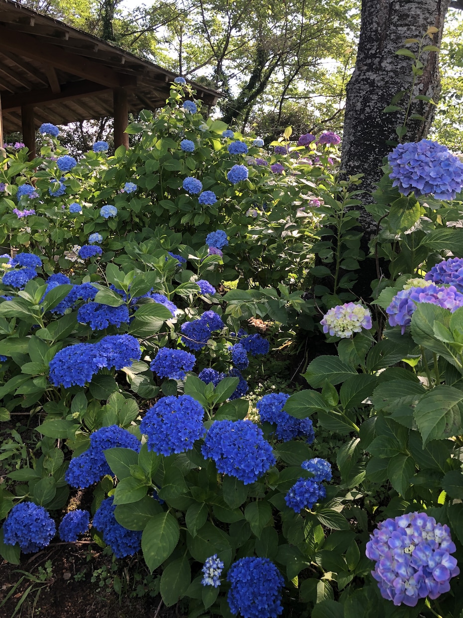 雑談、お悩み、愚痴相談何でも聞きます 優しく何でも聞きます♪話しましょう！ イメージ1