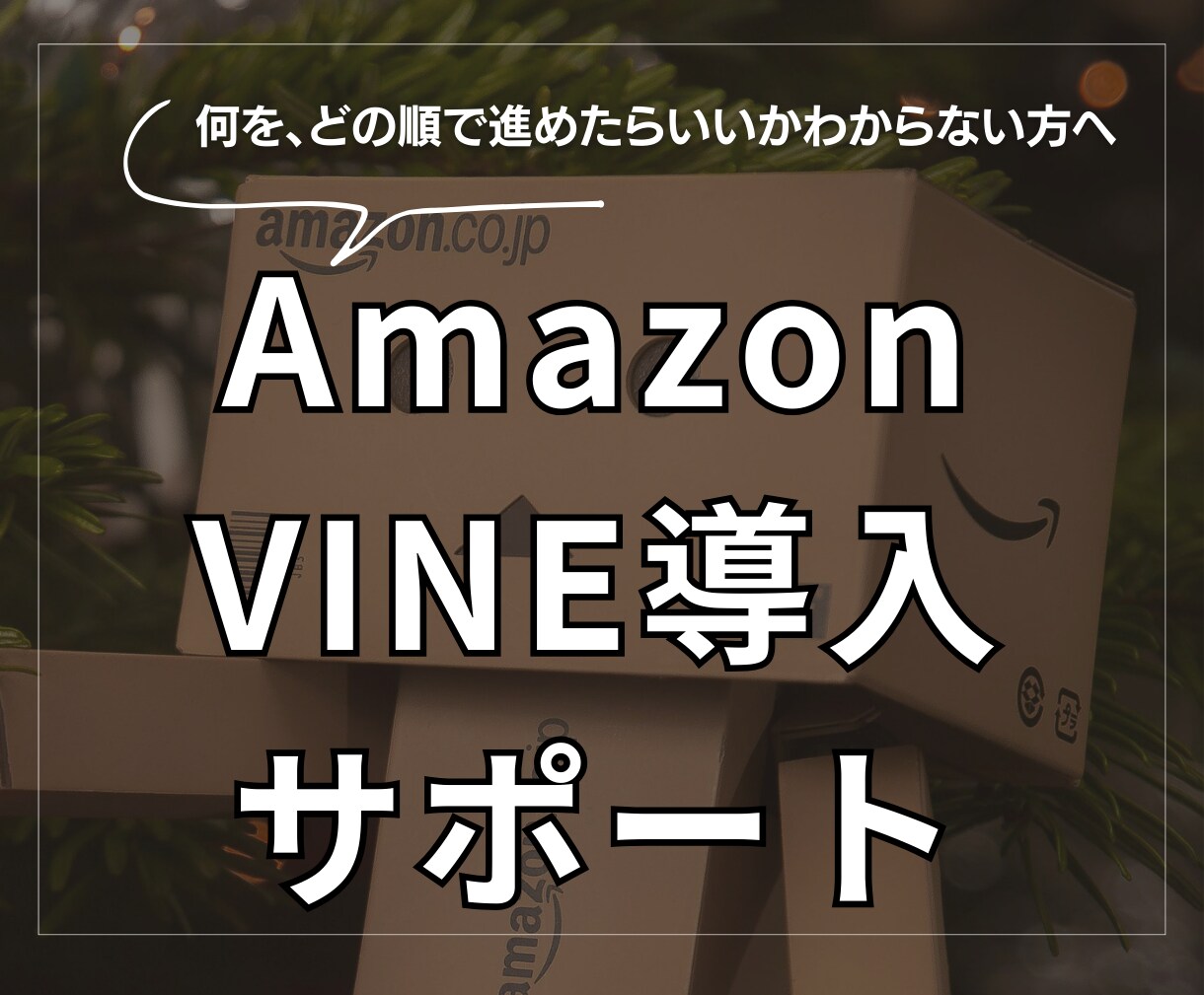 Amazon VINE開始までをサポートします レビュー獲得！VINEプログラム登録を支援 イメージ1