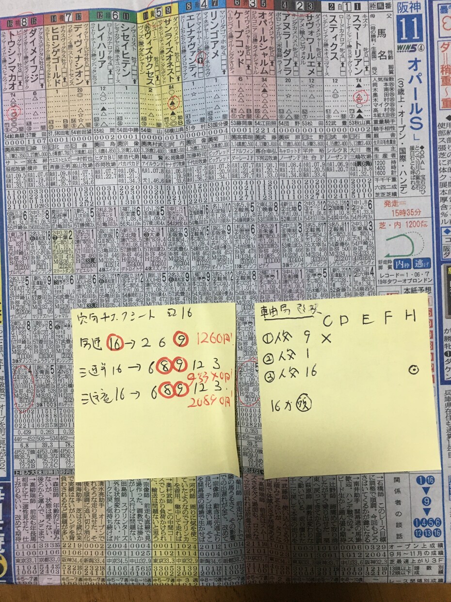 競馬瞬殺！3連単、3連複新投資アイテムを伝授します 軸馬チェックシート付ですので、簡単に軸馬選択。穴馬即決です。 イメージ7