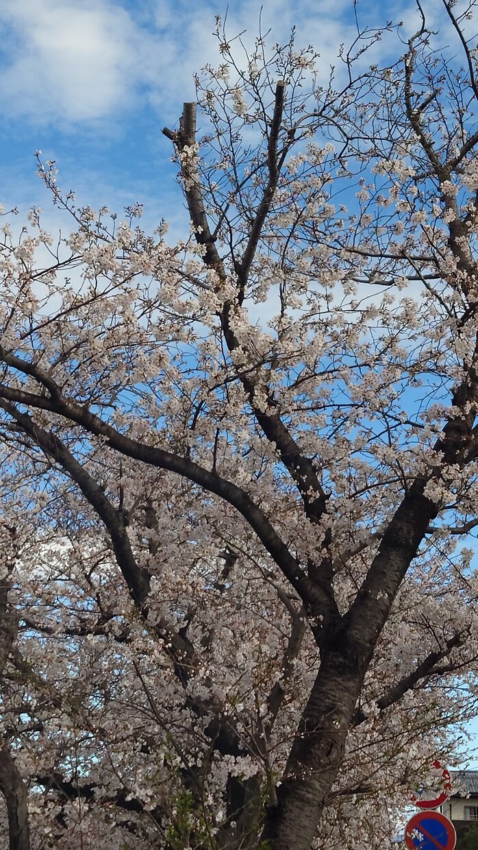 愚痴雑談聞きます 占いではありません。愚痴や雑談、いろんなお話しましょう！！ イメージ1