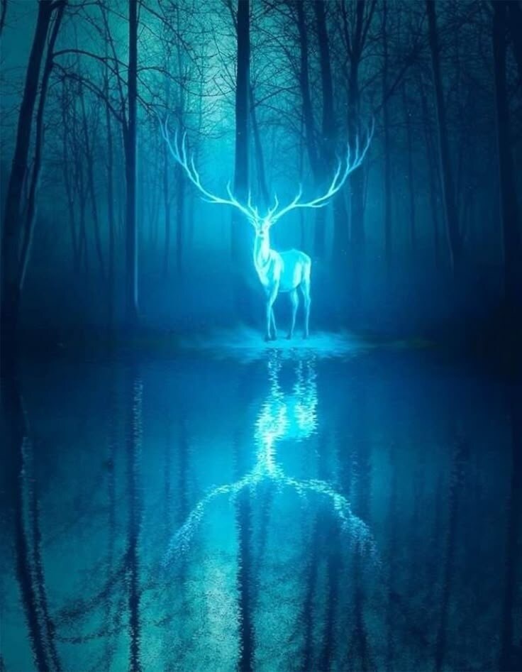 幻想壁紙『月光の道 - 白鹿の章』ます 雨上がりの夜、霧の奥に浮かぶ一筋の道。 イメージ3