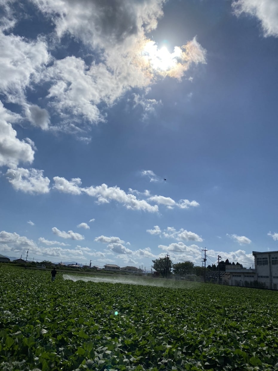 園芸相談お聞きします 【美味安全野菜栽培士】が野菜・果樹お困りな事解決します！ イメージ3