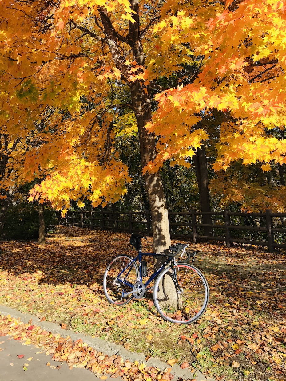自転車購入の相談のります スポーツ車を始めてみたいけど、わからない… イメージ3