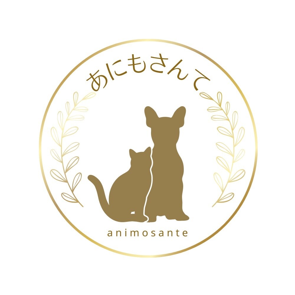 簡単♪ヘルシー犬ごはん 基本の作り方教えます たっぷり食べて身体もスッキリ★手作り食を始めませんか？ イメージ6