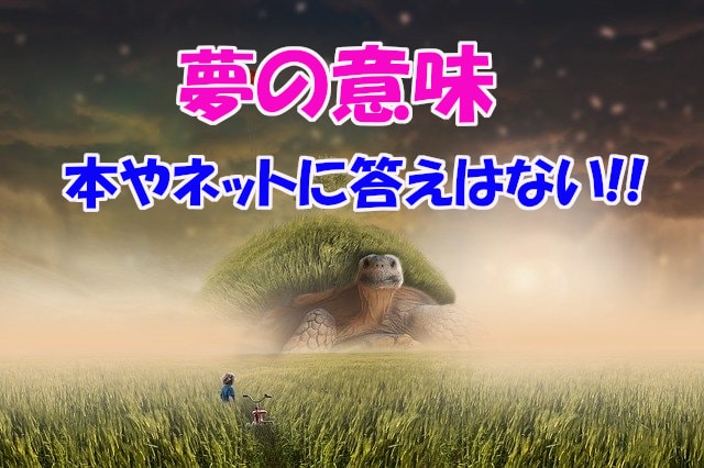 あなただけが知る、たった一つの夢の意味を見つけます 占いの本やネット情報に答えはない！【夢はあなた自身】だから❀ イメージ1