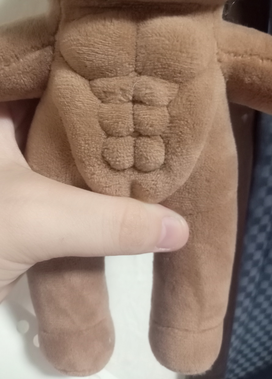 オリジナルのぬいぐるみ作成します 依頼者様が創作されたキャラクターをぬいぐるみ化します イメージ5