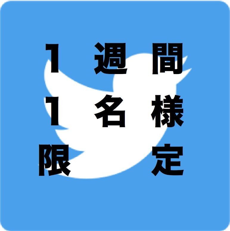 あなたの広告を毎日代理ツイートします 【１週間１名様限定】400万超インプレッションのアカウントで イメージ2