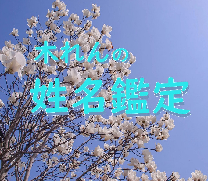 赤ちゃんの姓名鑑定☘️どんな子に育つのか予想します 赤ちゃんの命名でお悩みの方、ぜひお気軽にご相談下さい。 イメージ1
