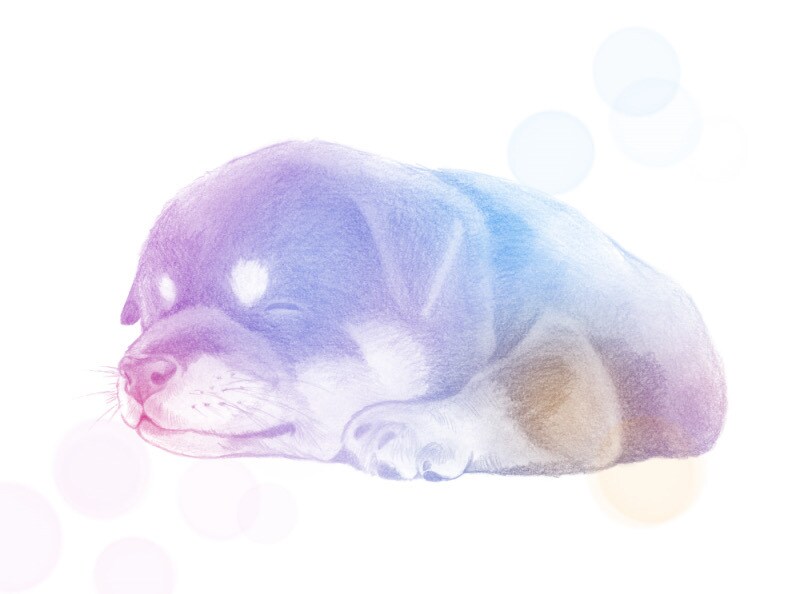 大事な「ウチの子」のカラフルアートをお描きします 鉛筆線画に色を入れてアートのようにカラフルに飾ります イメージ3