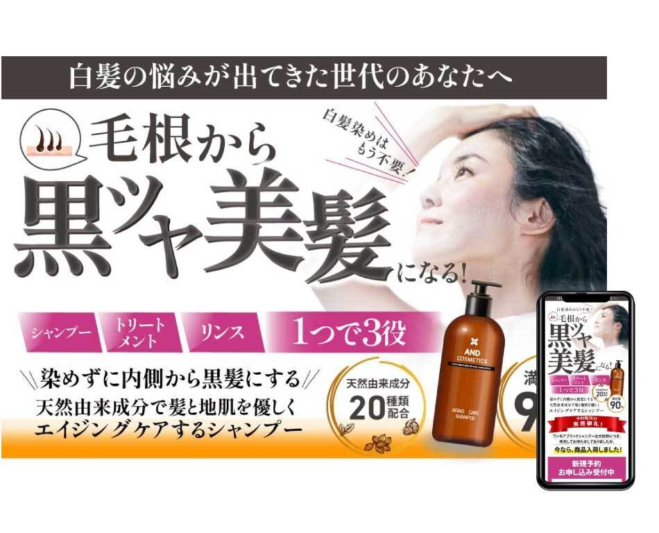 早く知りたかった！コピーをいかしたLPを制作します 先着３名様限定30,000円〜　その後【通常料金】となります イメージ5