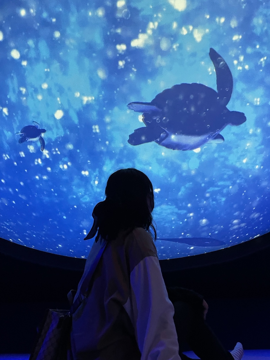 あなたのお悩みを解決するお手伝いをします 九星気学・姓名判断をもとに一緒に解決方法を考えていきましょう イメージ1