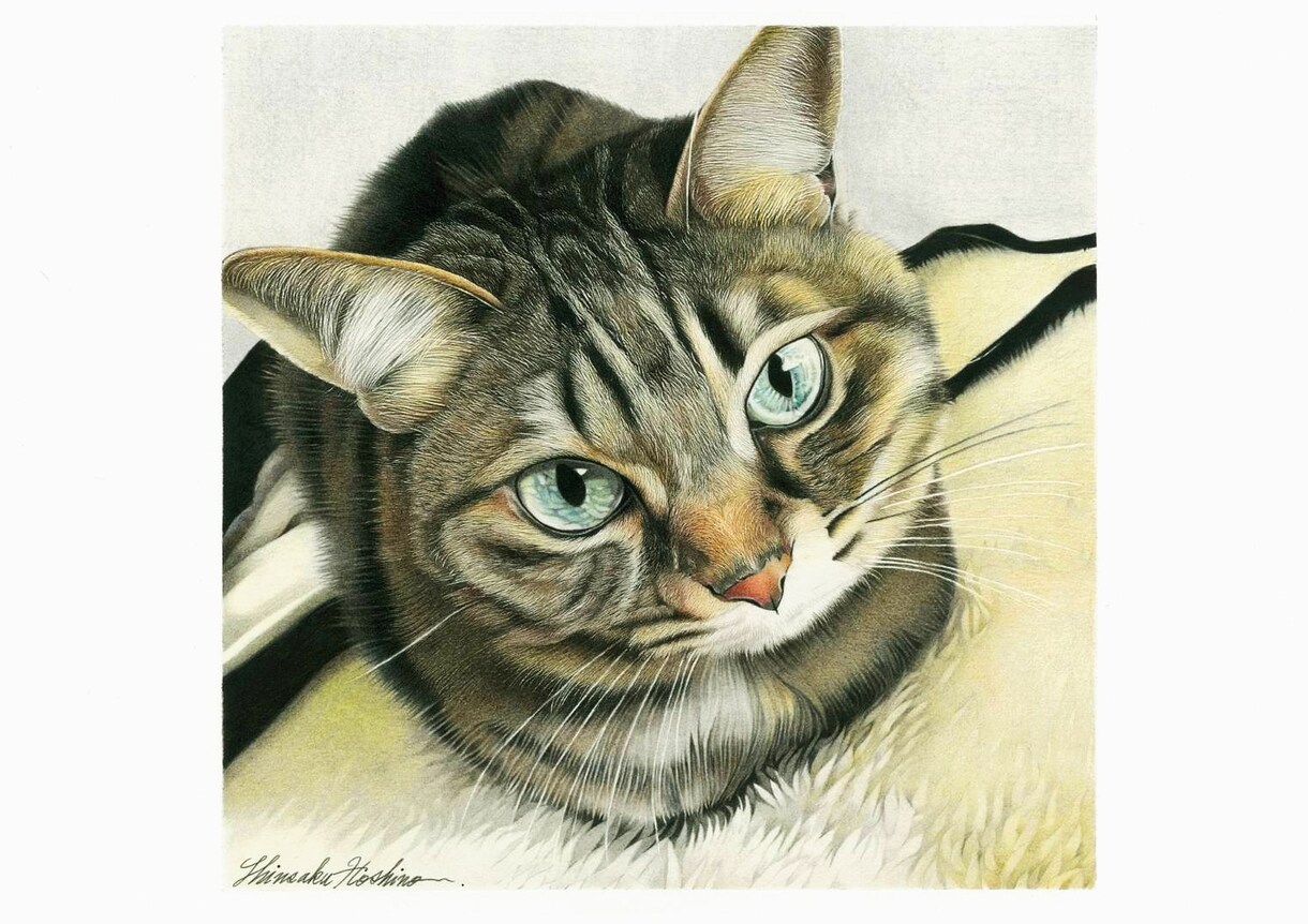色鉛筆で、リアルなペットの絵をお描きします 大切なペットを絵にして、ご自宅にプレゼントにいかがですか? イメージ7