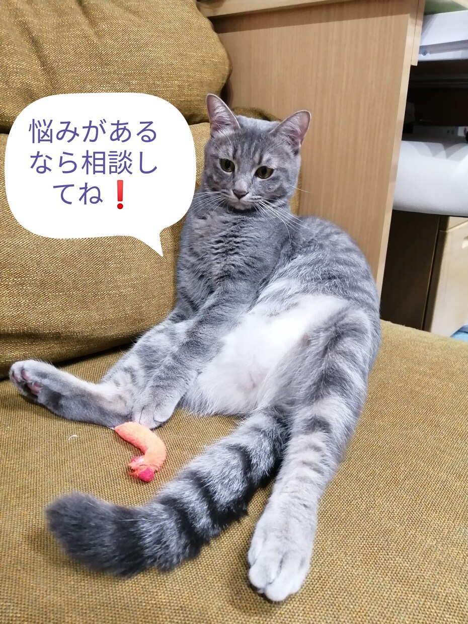 何故、結婚できないのか、明確にお答えします 誰だって、伴侶に出逢ってゴールインしたいと願っています イメージ1
