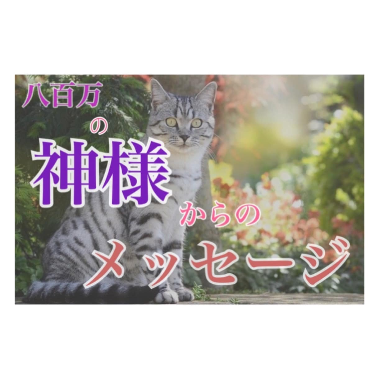 八百万の神様からのメッセージをあなたにお届けします /不安・悩み・恋愛・仕事/オラクルカードのメッセージをお伝え イメージ1