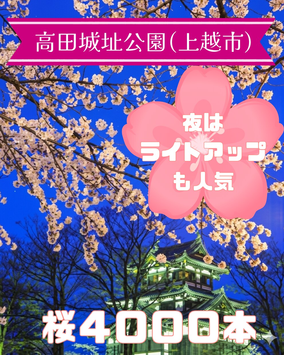 クリックされるSNS画像・バナー1枚デザインします Youtubeサムネ・HPのメインビジュアルなども対応可能！ イメージ4