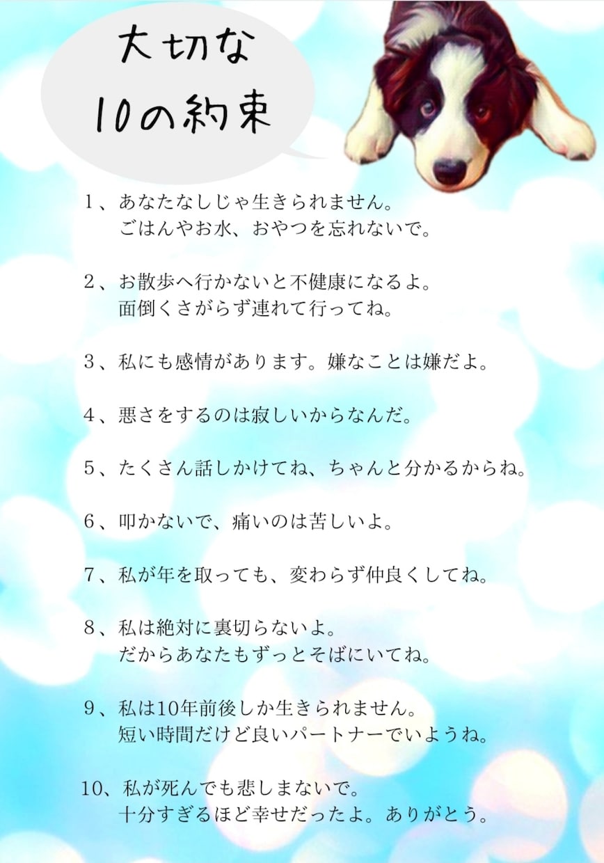 ペットとの“大切な10の約束”を画像入りで作ります 忘れないで大切なこと、ペットにはあなたしかいないこと。 イメージ2