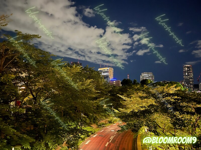 都内の写真撮影代行いたします なかなか都内に行けないけど自分だけの写真が欲しい方 イメージ2