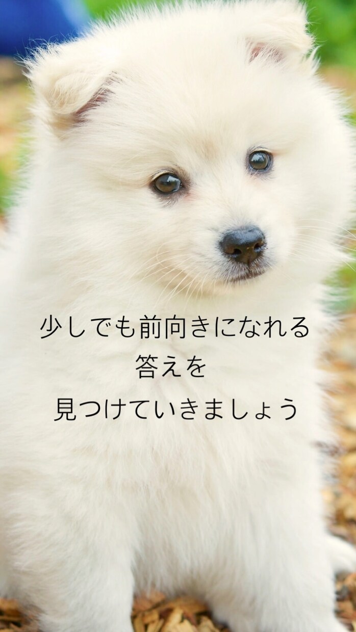 どんなお悩みもお聞きします 少しでも前向きな思考に、少しでも明るい気持ちになれる イメージ2