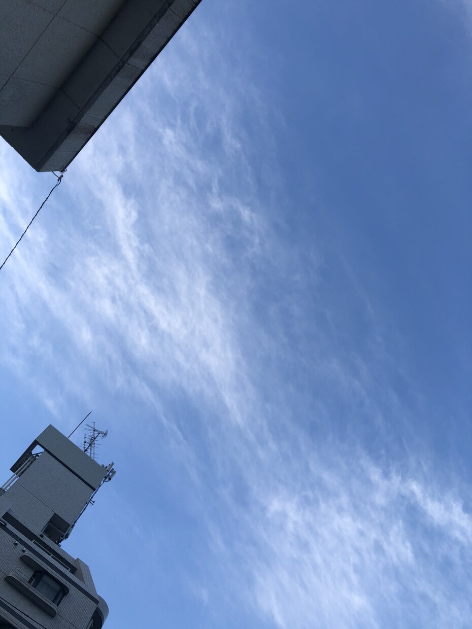 介護や家庭問題、テキストチャットで伺います 突発的な問題でないけれど、なんか話を聴いて欲しい！そんな時に イメージ1