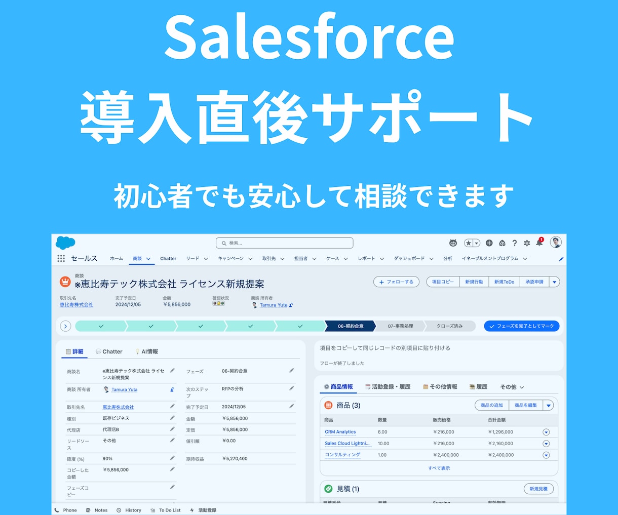 Salesforce導入直後の不安を解消します 初回限定2000円でサポートします イメージ1