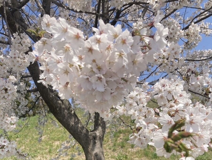 1分からでもOK～♬あなたのお話しお聞きします 今すぐ話したいお悩みや愚痴何でもお話下さい✩.*˚ イメージ3