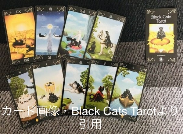 カードの絵柄を解説しながら今後の運勢をお伝えします タロット占いで、ほっとできる毎日を送りませんか？ イメージ1