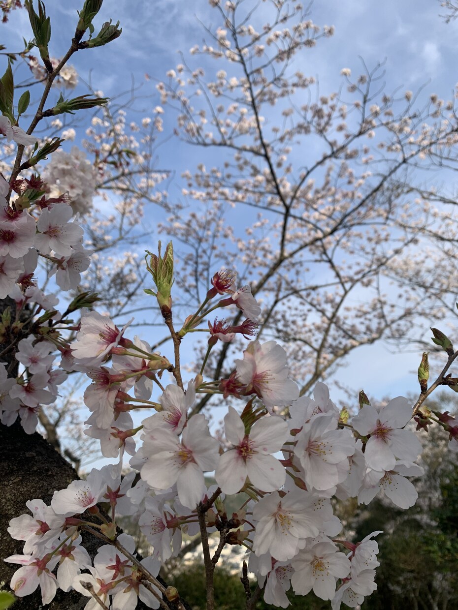 あなたの心の負担少しでも軽くします 自分次第、考え方次第でネガティブもポジティブに イメージ1